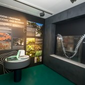 Endemi i ekstremi / Ponikva